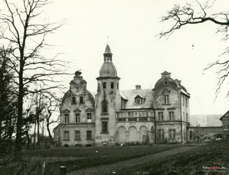 Pałac w Strzelcach