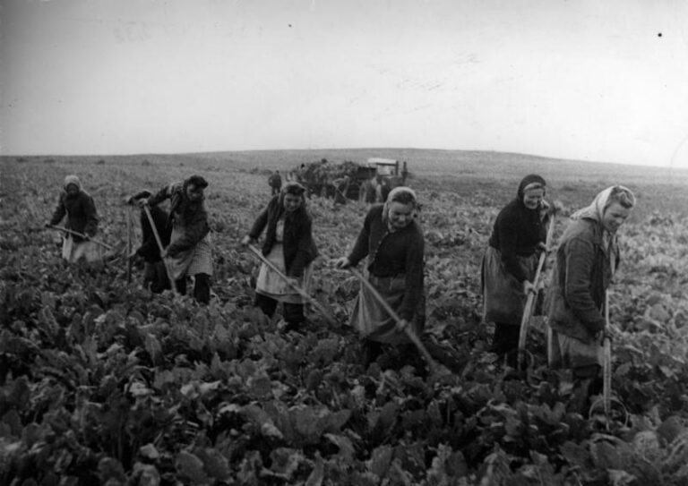 Na saksy do Saksonii. Migracje sezonowe na dawnym Śląsku #1